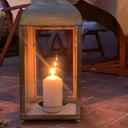 Il Grillo Sull'olivo *