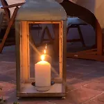 Il Grillo Sull'olivo *