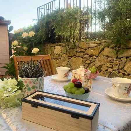 Il Grillo Sull'olivo *