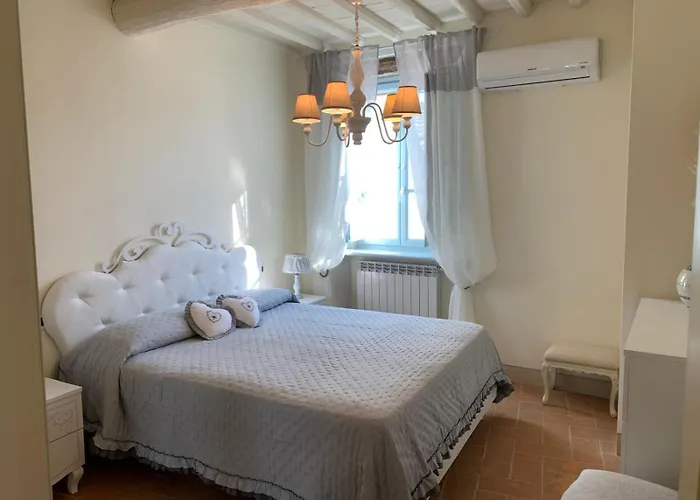 Il Grillo Sull'olivo *