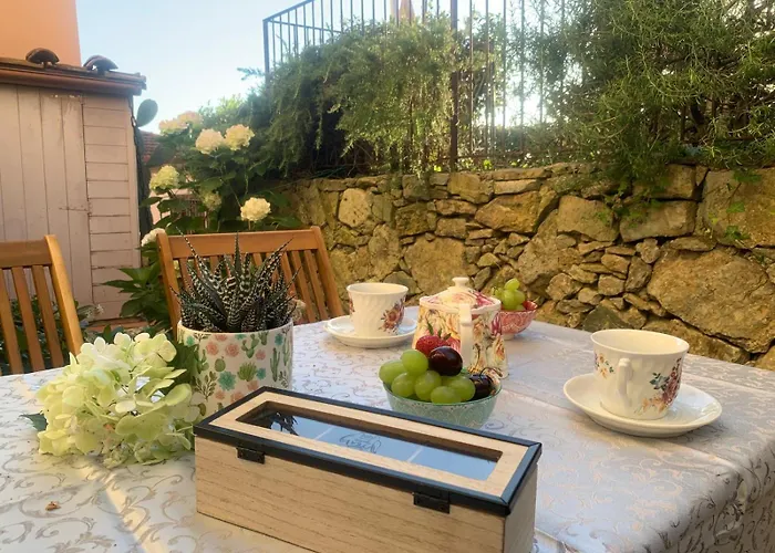 Il Grillo Sull'olivo *