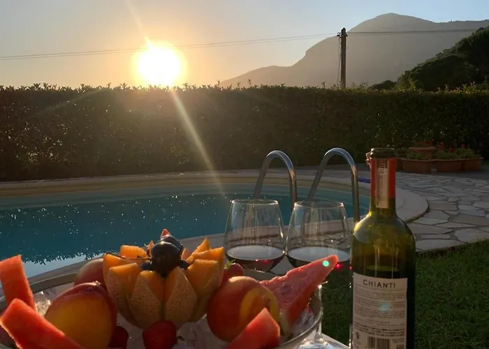 Il Grillo Sull'olivo